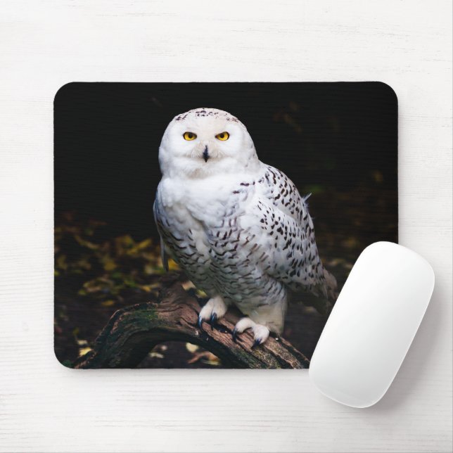 Majestic winter snowy owl mouse mat (With Mouse)