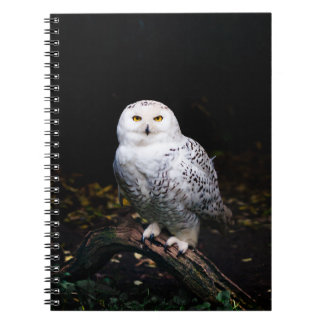 Majestic winter snowy owl notebook