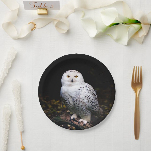 Majestic winter snowy owl paper plate (Wedding)