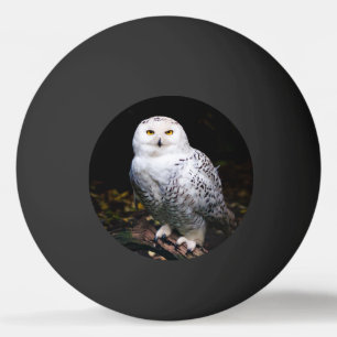 Majestic winter snowy owl ping pong ball