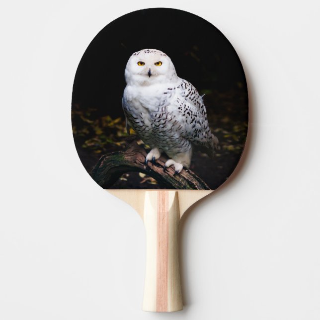 Majestic winter snowy owl ping pong paddle (Front)