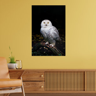Majestic winter snowy owl poster
