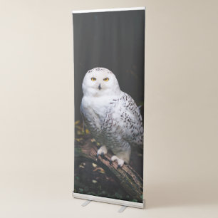 Majestic winter snowy owl retractable banner