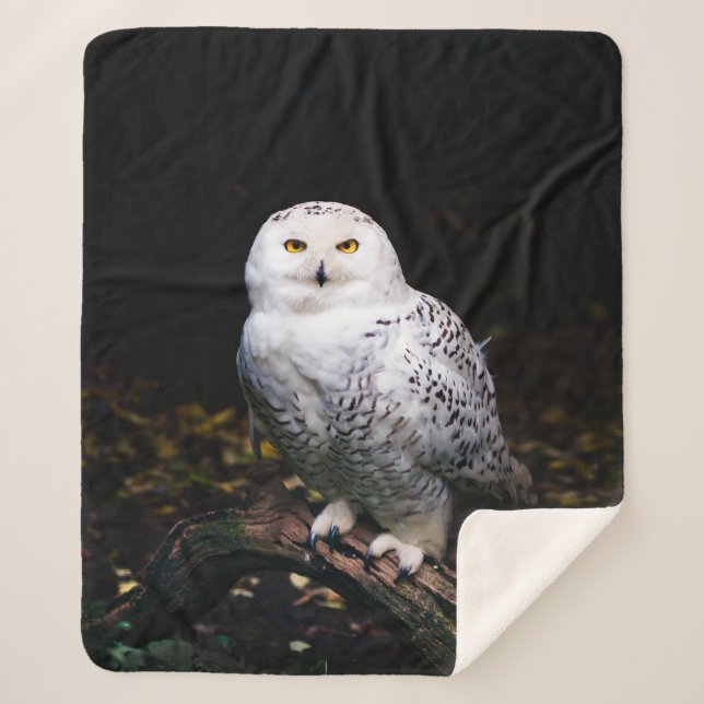 Majestic winter snowy owl sherpa blanket (Front)