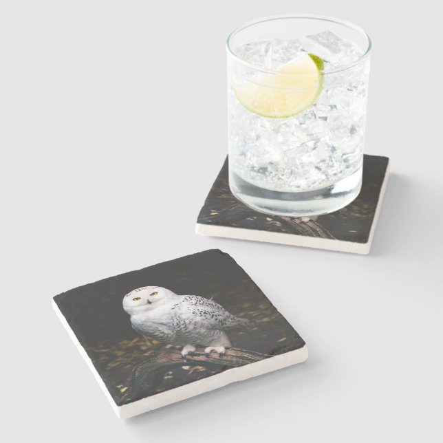Majestic winter snowy owl stone coaster (Side)
