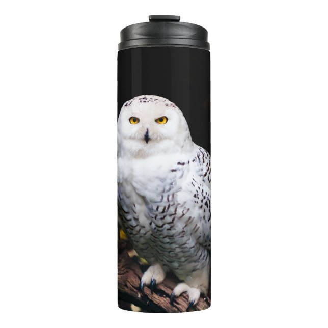 Majestic winter snowy owl thermal tumbler (Front)