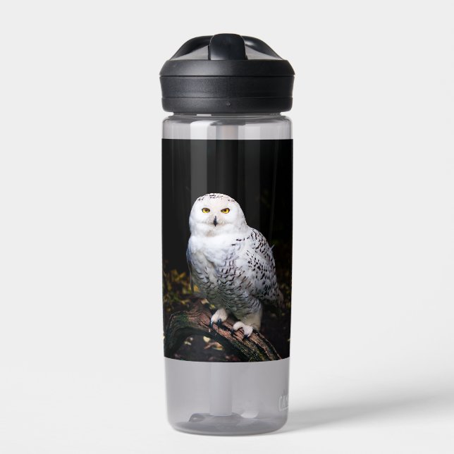Majestic winter snowy owl water bottle (Front)