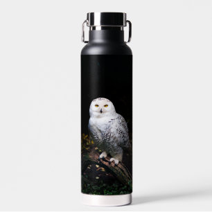 Majestic winter snowy owl water bottle