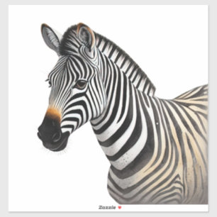 Majestic Zebra Portrait Realistic Wildlife Art