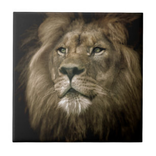 Majesty.jpg Tile