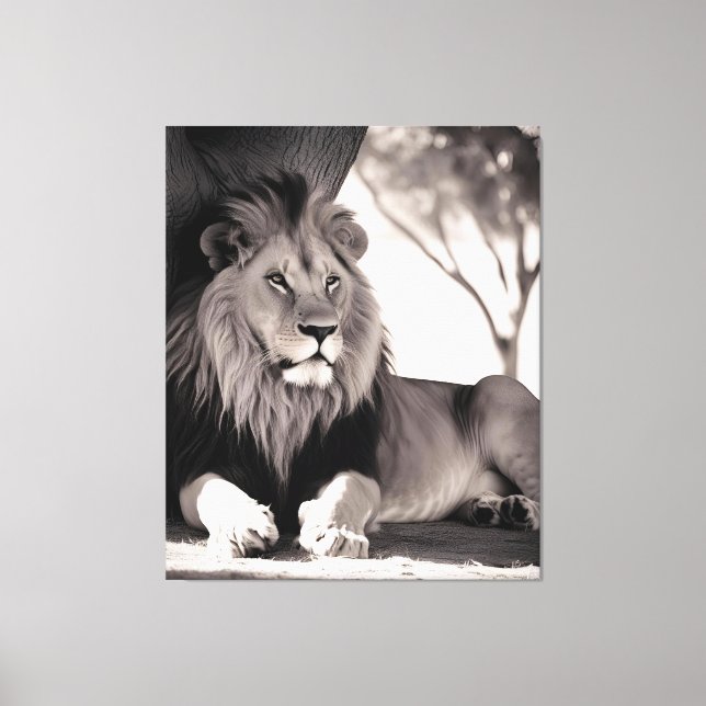 Majistic African Lion Black and White Canvas Print (Front)
