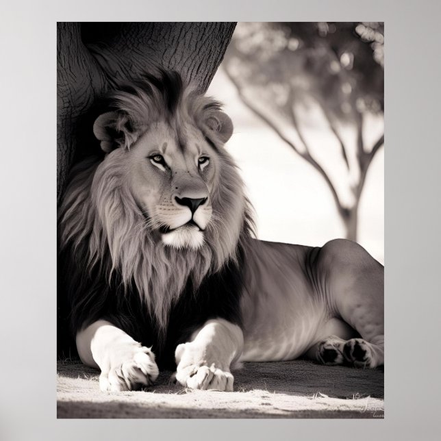 Majistic African Lion Black and White Poster (Front)