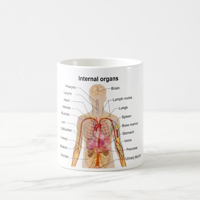 Major Internal Organs in the Human Body Chart Coffee Mug (Center)