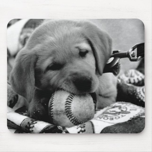 Major League Puppy mousepad (Front)