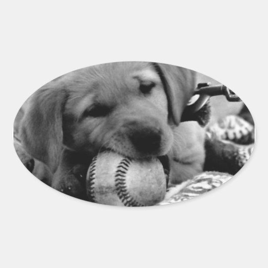 Major League Puppy Oval Sticker
