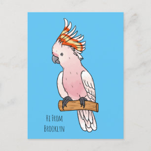 Major mitchell cockatoo bird cartoon illustration postcard