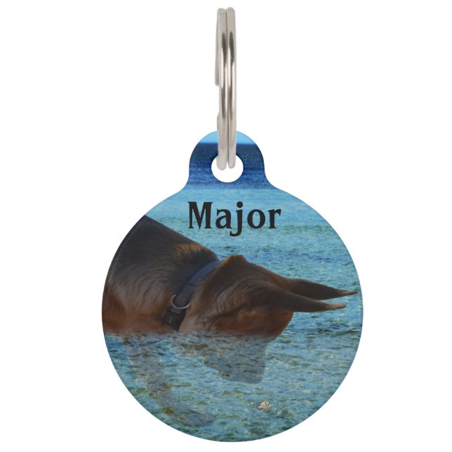 Major The German Shepherd, Pet Tag. Tag (Front)