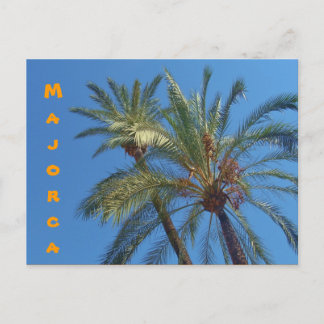 Majorca Palms - Postcard