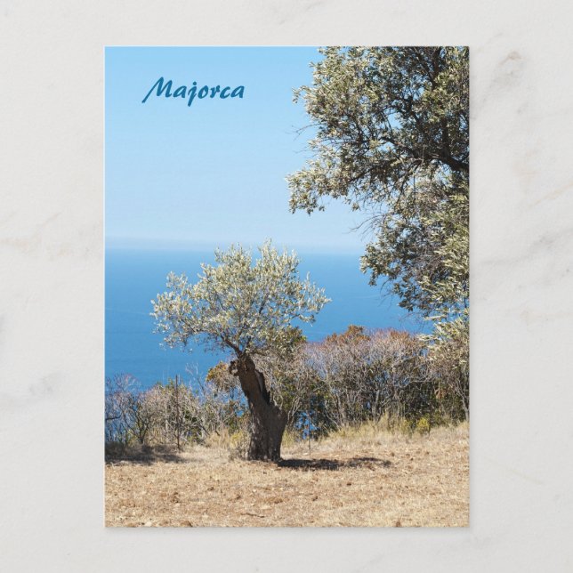 Majorca Postcard (Front)