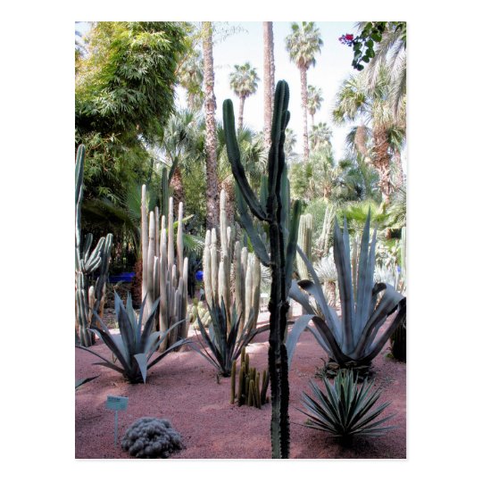 majorelle exotic plants postcard