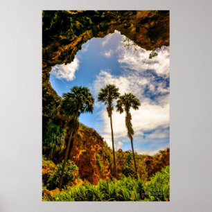 Makauwahi Cave Palm Trees, Kauai, Hawaii Poster