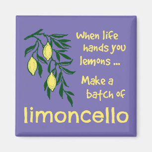 Make a Batch of Limoncello Lemon Liqueur Magnet