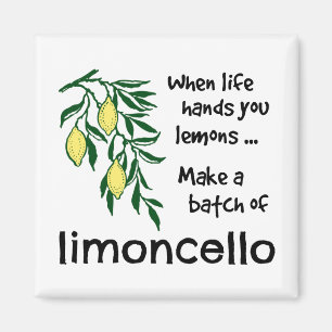 Make a Batch of Limoncello Lemon Liqueur Magnet