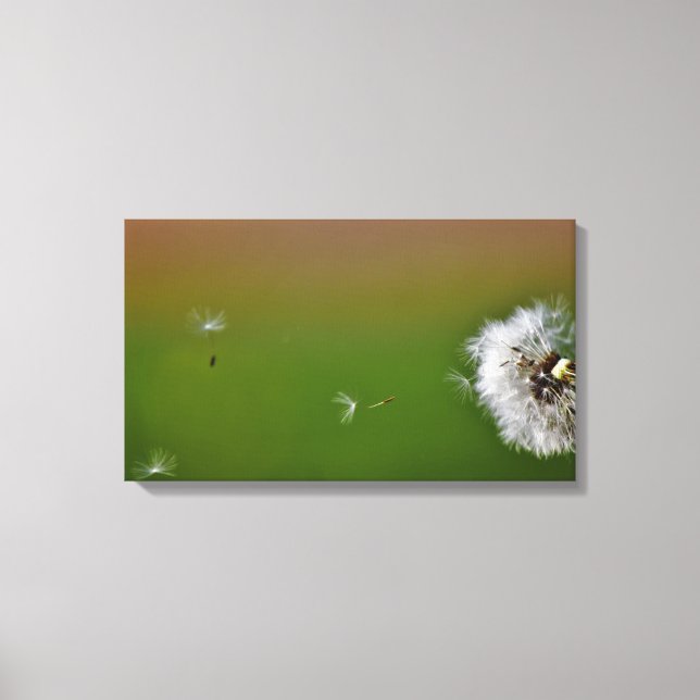 Make a Wish! Canvas Print (Front)