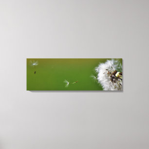 Make a wish! canvas print