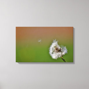 make a wish, canvas print