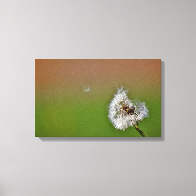 make a wish, canvas print (Front)