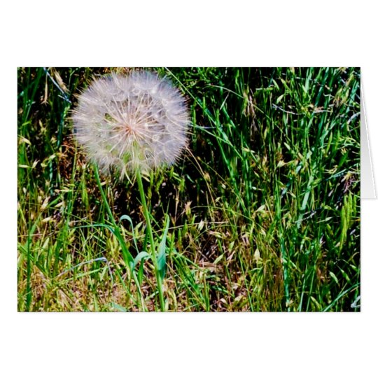 "Make a Wish" collection Card