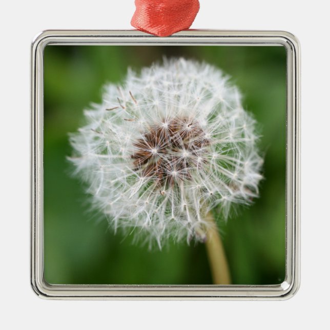 Make A Wish! Dandelion Square Ornament (Front)