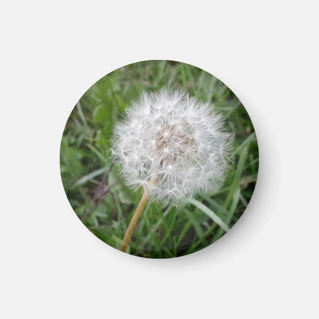 Make a Wish Magnet (Front)