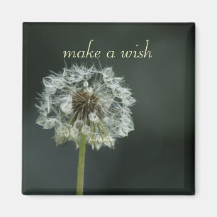 make a wish magnet