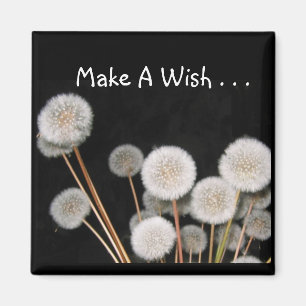 Make A Wish Magnet