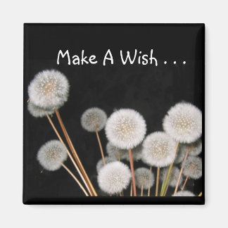 Make A Wish Magnet