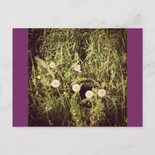 Make A Wish Postcard