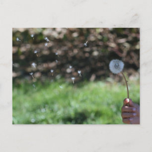 Make a Wish! Postcard