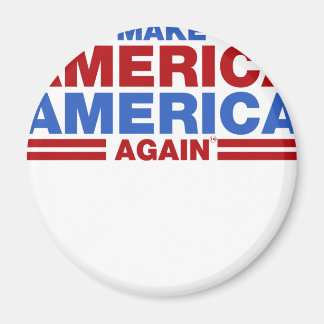 Make America America Again Magnet