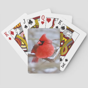 Make_Cardinal_Cards Playing Cards