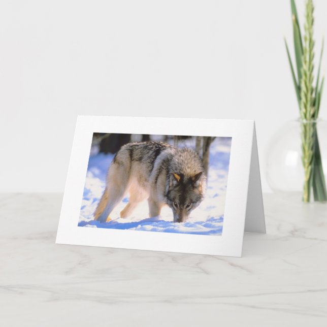 Make Christmas Card Winter Snow Wolf (Front)