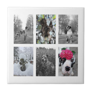 Make it you Great Dane Tile
