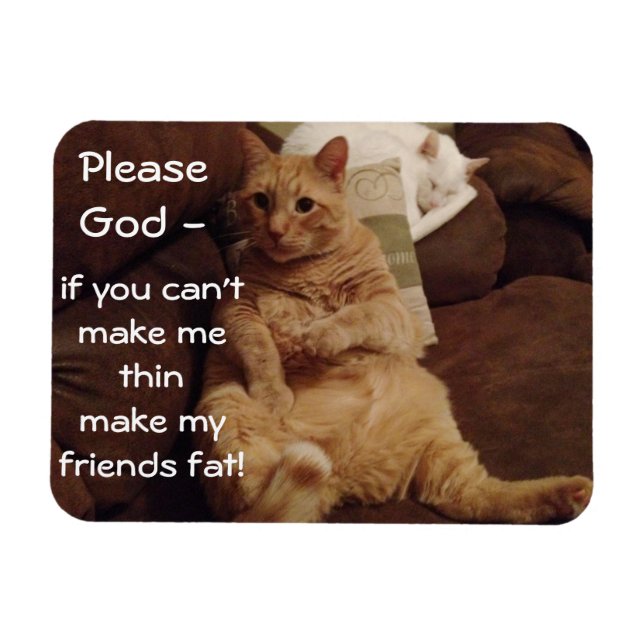 Make Me Thin Flexible Magnet (Horizontal)