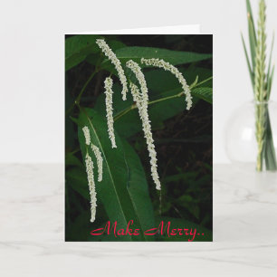 Make Merry Holiday Card