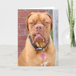MAKE MY DAY CARD