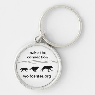 Make the connection keychain
