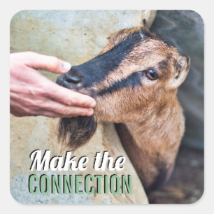 Make the connection vegan with friendly goat square sticker