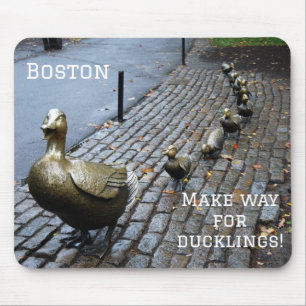 Make Way For Ducklings Mouse Mat