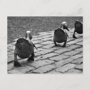 Make Way for Ducklings Postcard
